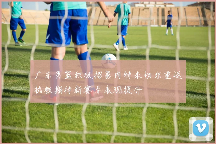 广东男篮积极招募内特米切尔重返执教期待新赛季表现提升